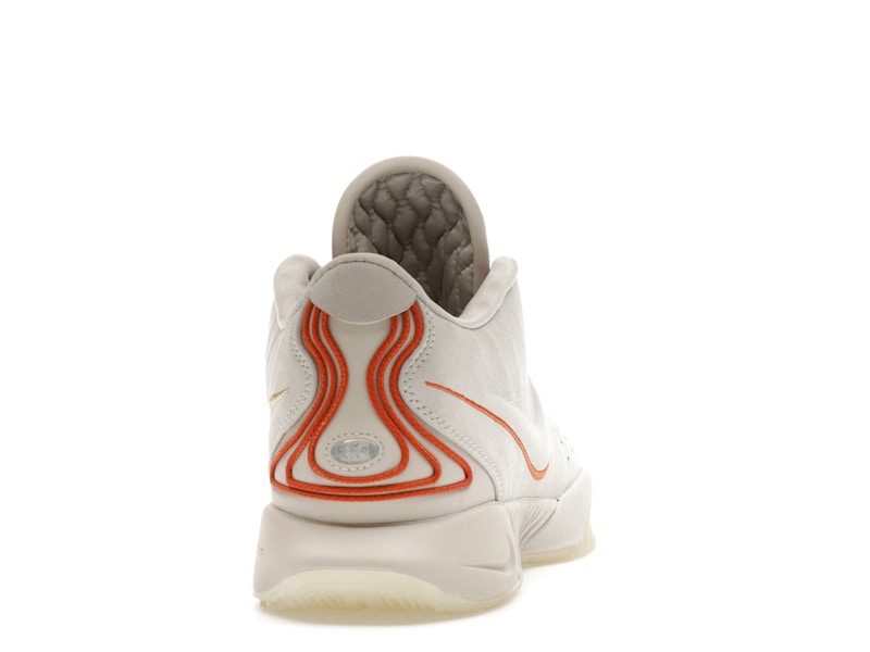 Nike LeBron 21 Akoya