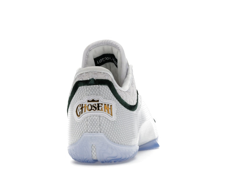 Nike LeBron 23 From This Point Forward
