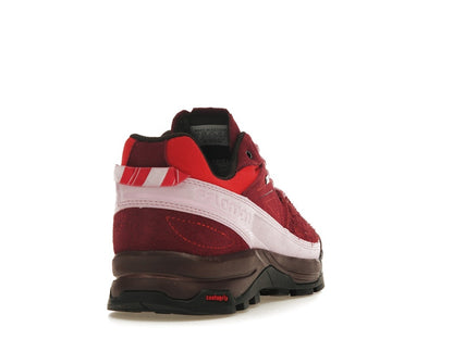 Salomon X-Alpages Gore-Tex The Broken Arm