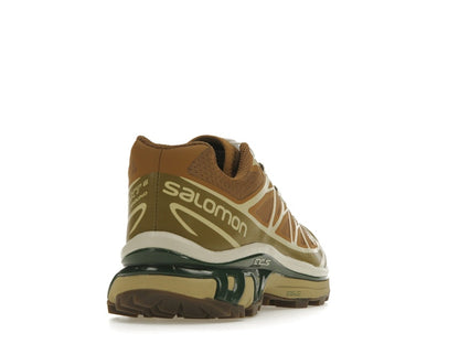 Salomon XT-6 Rubber Lizard