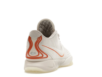 Nike LeBron 21 Akoya