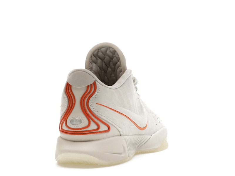 Nike LeBron 21 Akoya