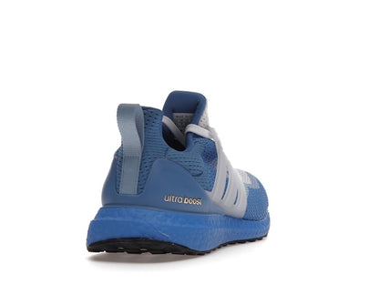 adidas Ultra Boost 2.0 DNA Katie Ledecky (Women's)