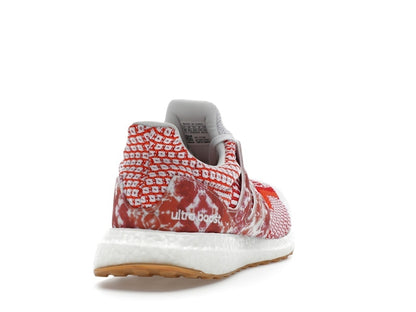 adidas Ultra Boost 5.0 DNA Nature Lab (Women's)