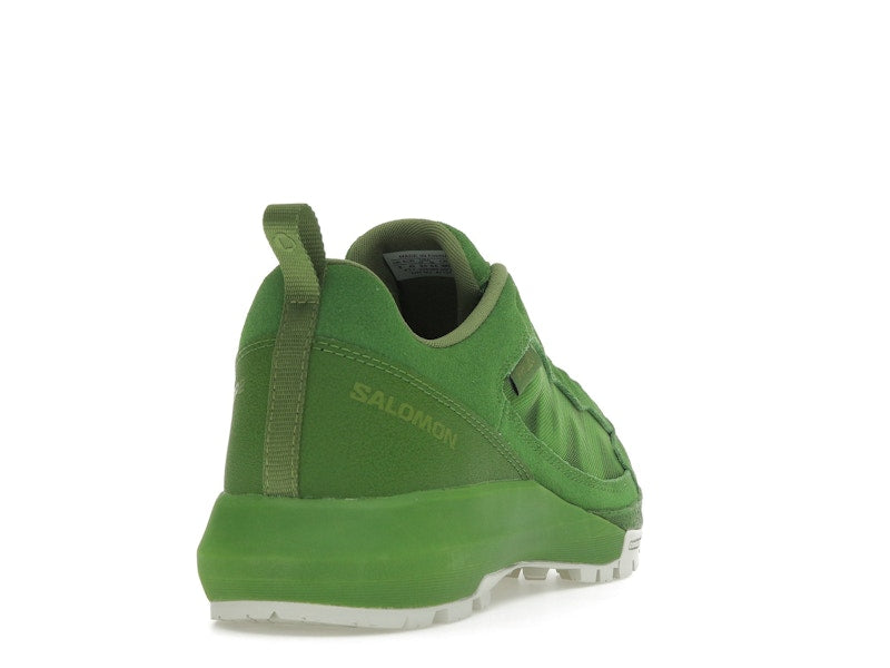 Salomon Alpinway SP2 Philéo Landowski Treetop