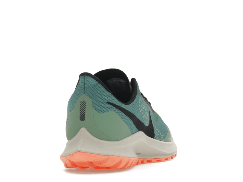 Nike Zoom Pegasus 36 Trail Gore-Tex Bicoastal (Women's)