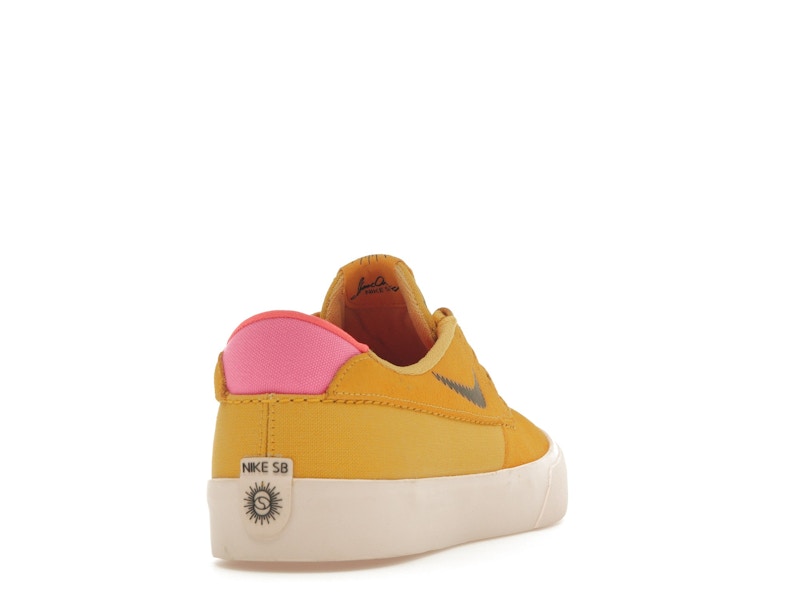 Nike SB Shane T Pollen