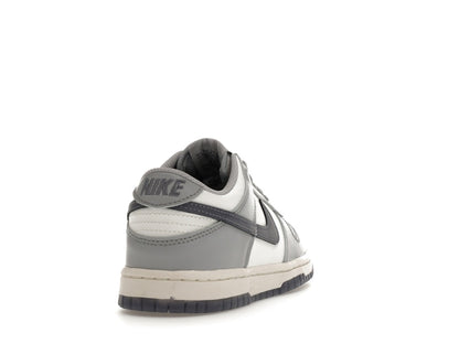 Nike Dunk Low Platinum Tint Light Carbon (GS)