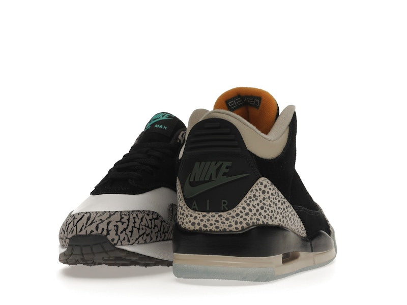 Jordan 3 Retro & Nike Air Max 1 atmos Pack