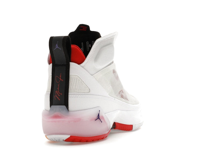 Jordan 37 Hare