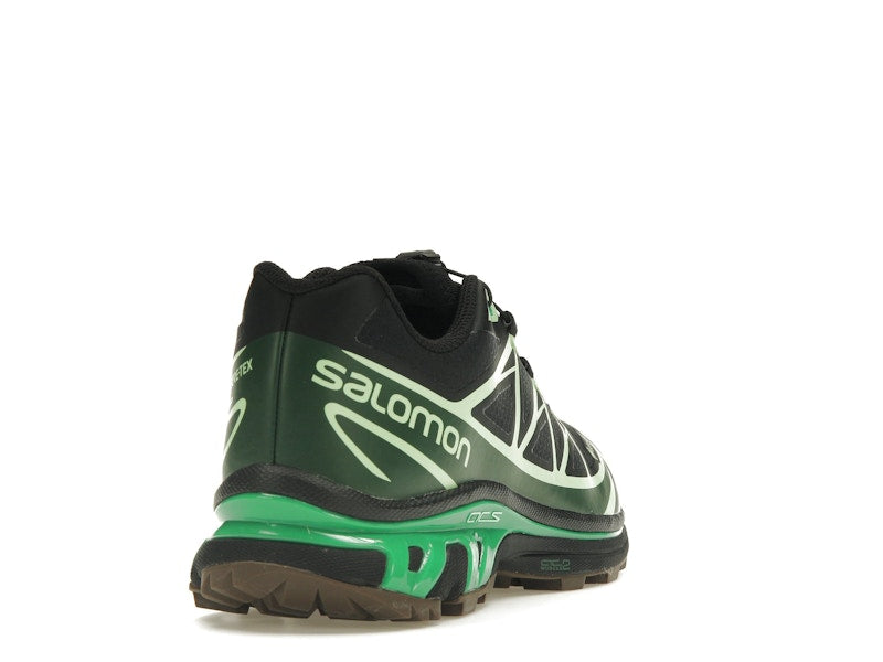 Salomon Advanced XT-6 Gore-Tex Eden Green Ash