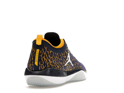 Jordan Trainer 1 Low Michigan