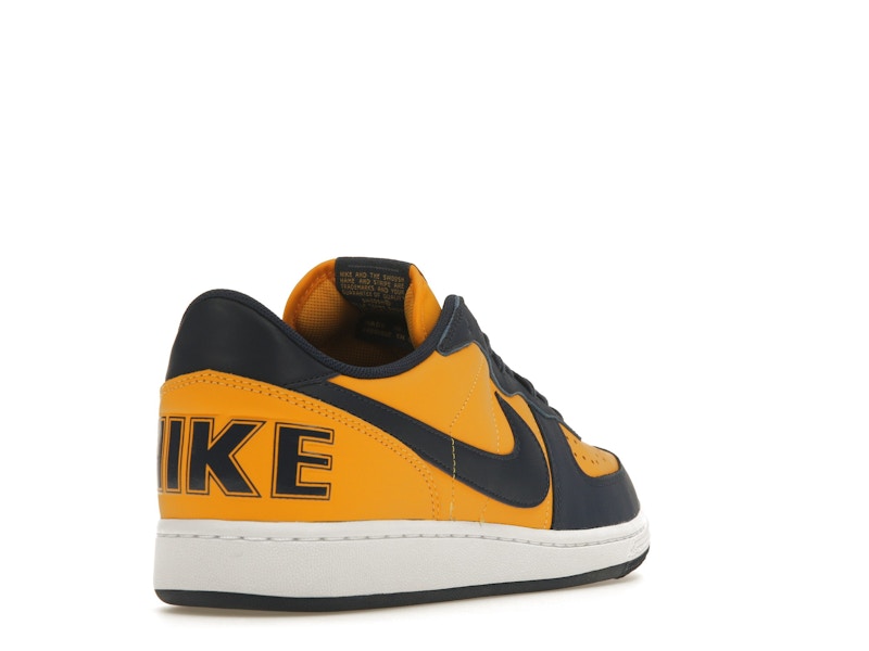 Nike Terminator Low Michigan