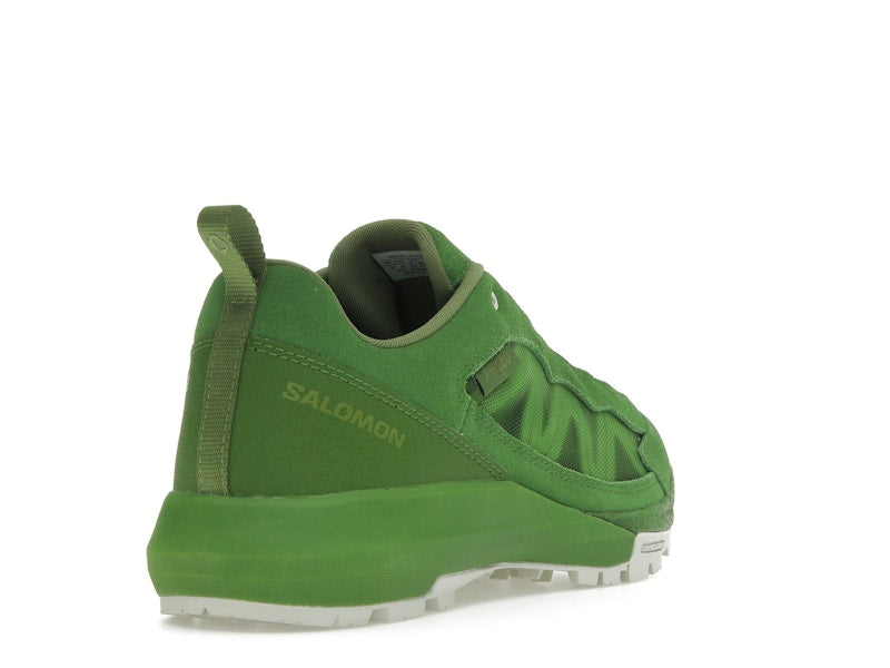 Salomon Alpinway SP2 Philéo Landowski Treetop
