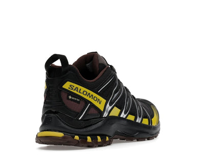 Salomon XA Pro 3D Gore-Tex Cress Green French Roast