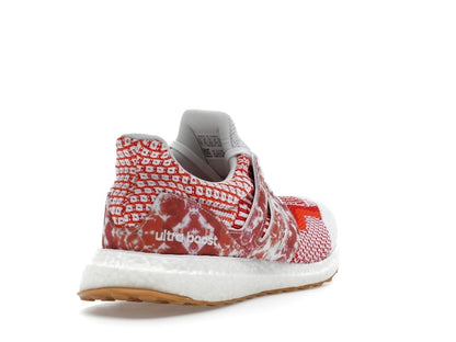 adidas Ultra Boost 5.0 DNA Nature Lab (Women's)