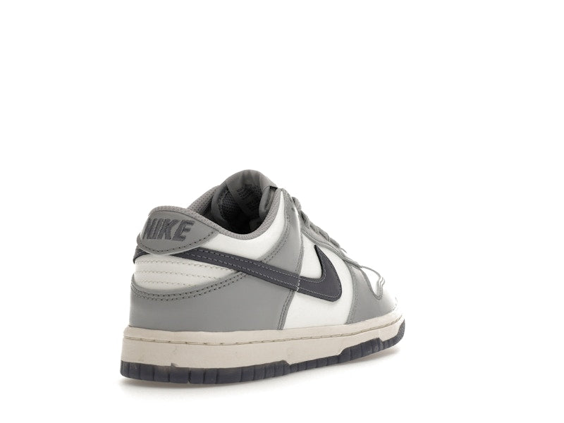 Nike Dunk Low Platinum Tint Light Carbon (GS)