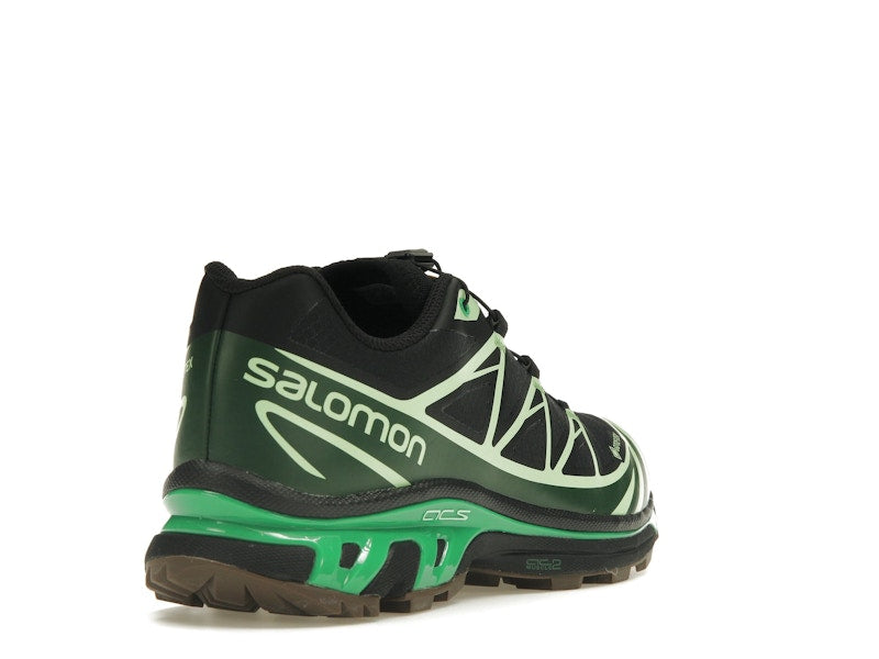 Salomon Advanced XT-6 Gore-Tex Eden Green Ash