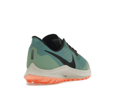 Nike Zoom Pegasus 36 Trail Gore-Tex Bicoastal (Women's)