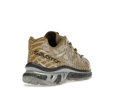 Salomon XT-6 Palace Kelp Quarry