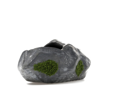 Bravest Studios Rock Shoe Canyaon Granite
