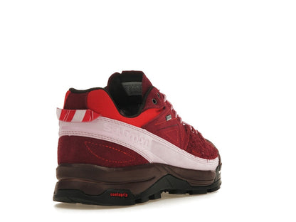 Salomon X-Alpages Gore-Tex The Broken Arm