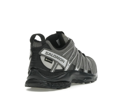 Salomon XA Pro 3D Gore-Tex Pewter Silver Cloud