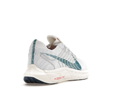 Nike Pegasus Turbo Next Nature Pure Platinum Valerian Blue