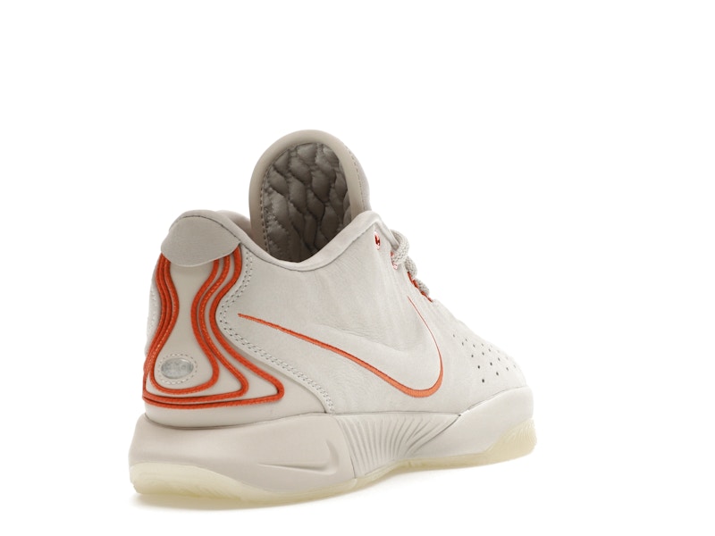 Nike LeBron 21 Akoya
