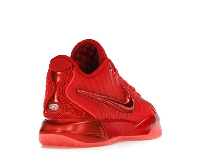 Nike LeBron 21 James Gang
