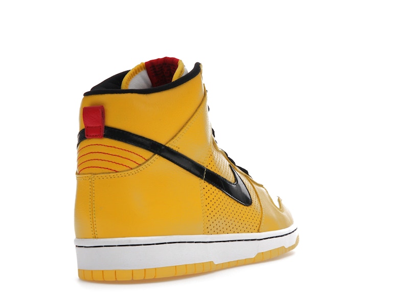 Nike SB Dunk High Wet Floor