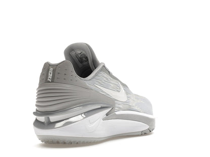 Nike Air Zoom GT Cut 2 TB Wolf Grey