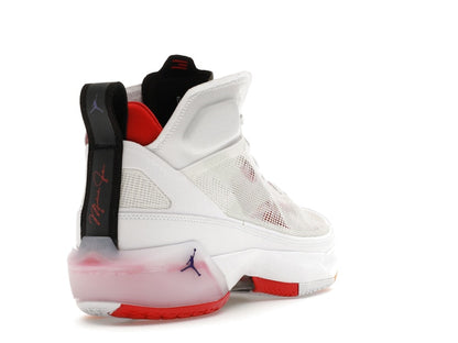 Jordan 37 Hare