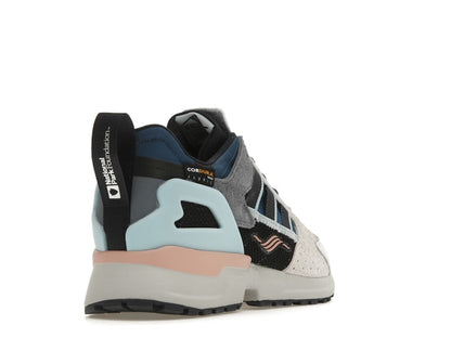 adidas ZX 10000 National Park Foundation