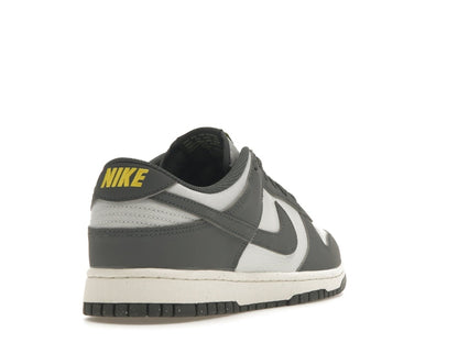 Nike Dunk Low Next Nature Iron Grey Lightning