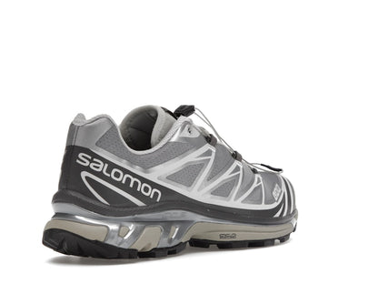 Salomon XT-6 Adv Dover Street Market Silver