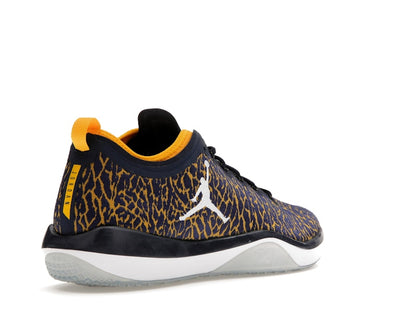 Jordan Trainer 1 Low Michigan