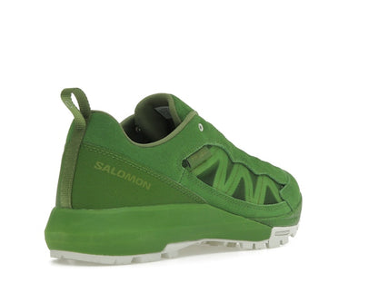 Salomon Alpinway SP2 Philéo Landowski Treetop
