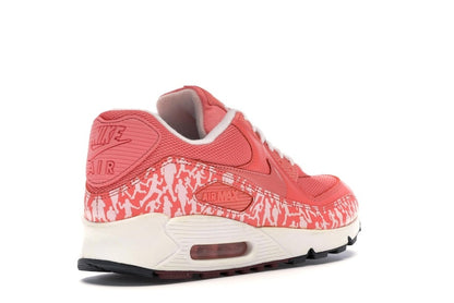 Nike Air Max 90 Powerwall Sunblush