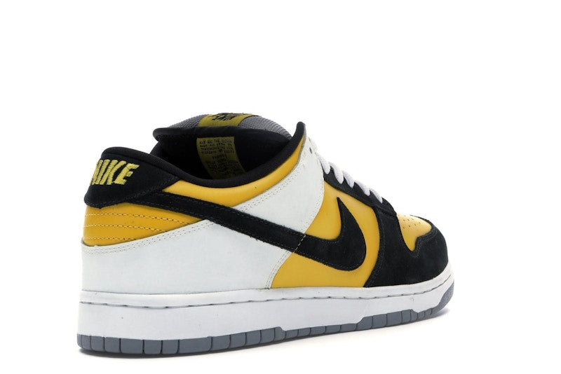 Nike SB Dunk Low Bic