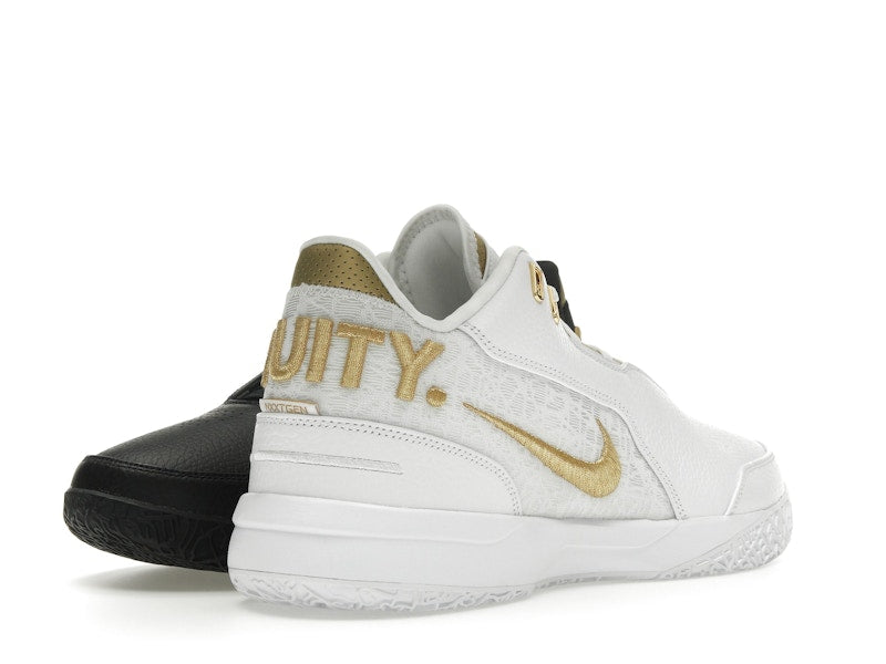 Nike Zoom LeBron NXXT Gen AMPD Equity