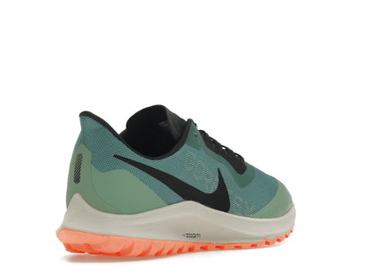 Nike Zoom Pegasus 36 Trail Gore-Tex Bicoastal (Women's)