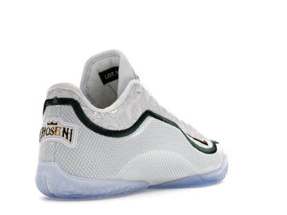 Nike LeBron 23 From This Point Forward