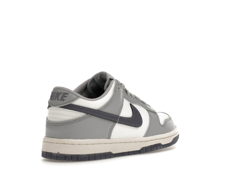 Nike Dunk Low Platinum Tint Light Carbon (GS)