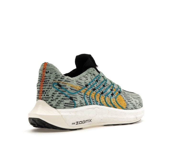Nike Pegasus Turbo Next Nature 5 Borough Tour