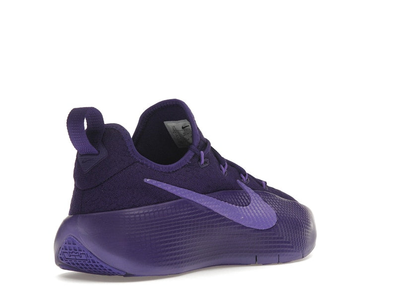 Nike LeBron TR 1 Purple Rain