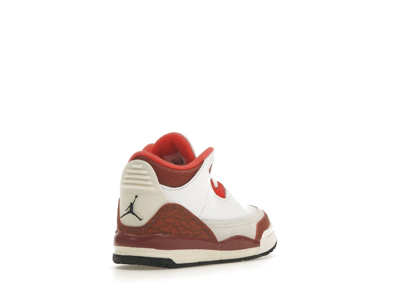 Jordan 3 Retro SE Dunk on Mars (TD)