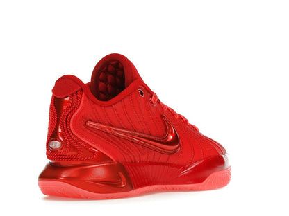 Nike LeBron 21 James Gang