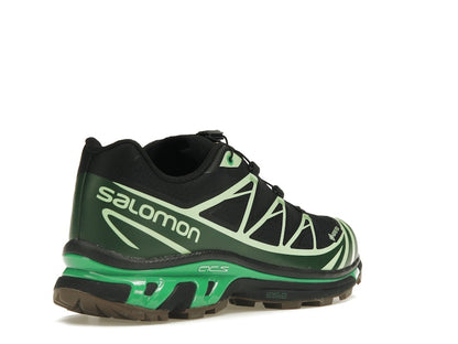 Salomon Advanced XT-6 Gore-Tex Eden Green Ash