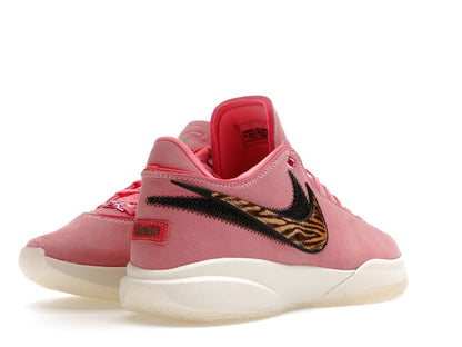 Nike LeBron 20 South Beast